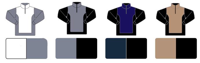 Sudaderas de trabajo bicolor de la gama Solid Match de diaseño bicolor para uniformes y ropa de trabajo con imagen corporativa moderna pero con colores clásicos, en tejidos actuales, técnicos y elásticos, personalizables con logo de empresa en uniforma